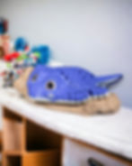 Thumbnail: Ray the Manta Ray