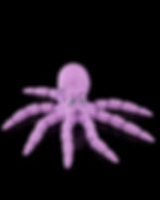 Thumbnail: Gus, the Octopus