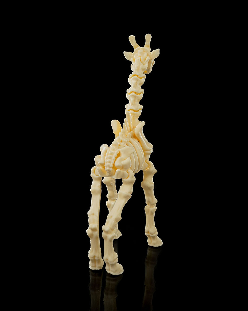 Thumbnail: Skeleton Giraffe