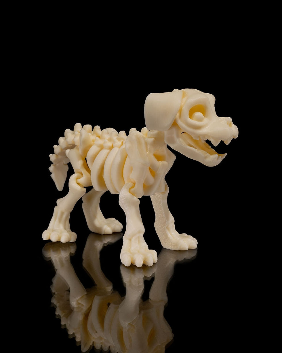 Thumbnail: Skeleton Dog