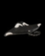 Thumbnail: Manny the Manta Ray
