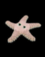 Thumbnail: Sandy, the Sea Star 21cm