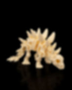 Thumbnail: Skeleton Stegosaurus