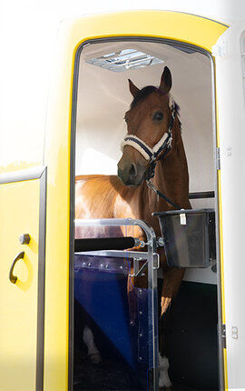 Miniatura: Remolque Humbaur Pegasus Style 2400