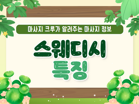 스웨디시 특징 한 번에 기억하게 만들어드릴게요!