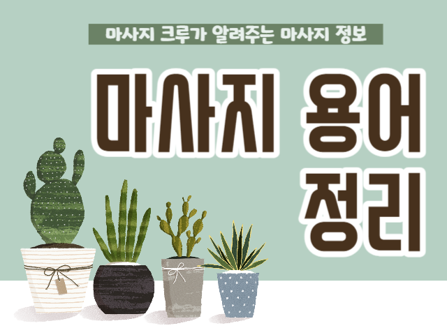 마사지 용어 정리