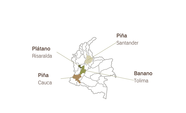 Abastecimiento Sostenible 2024.png