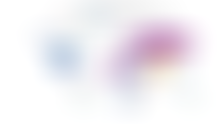 The Year of Global Election