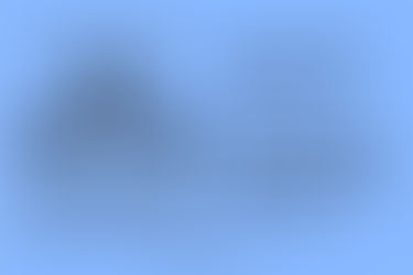 Central Banks at a Crossroad ?