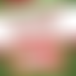 Ugly Christmas Sweater Party 