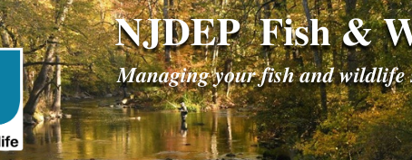 Trout Stocked Waters of New Jersey