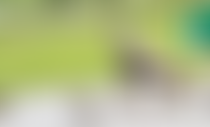 Report Brood Sightings to the NJDEP Fish & Wildlife