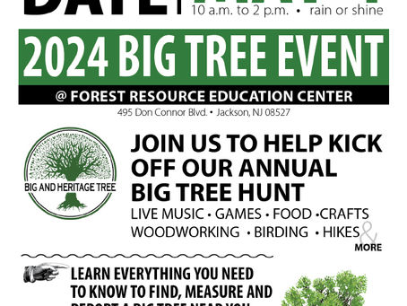 2024 Big Tree Event!