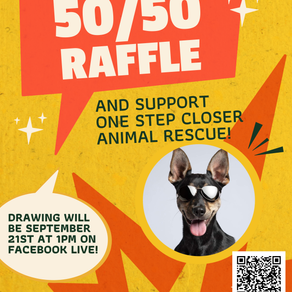One Step Closer Animal Rescue 50/50 Raffle (O.S.C.A.R)