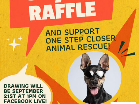 One Step Closer Animal Rescue 50/50 Raffle (O.S.C.A.R)