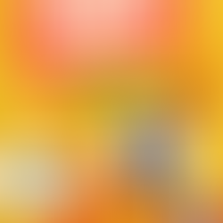 O.S.C.A.R. 50/50 Raffle