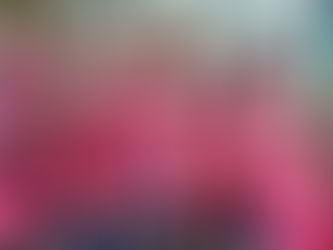 Morris Habitat Women Build is seeking Sponsors and Volunteers