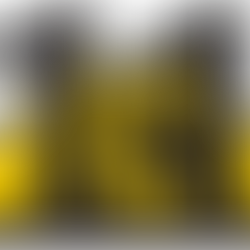 Eleventh Hour Rescue's Barkfest