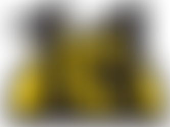 Eleventh Hour Rescue's Barkfest