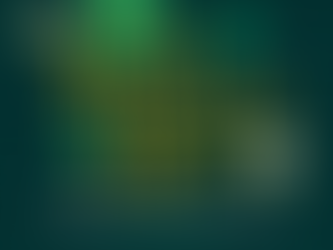 Saint Patrick's Day Specials 