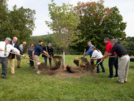 Grove of 13 Trees Planted in Central Park of Morris County