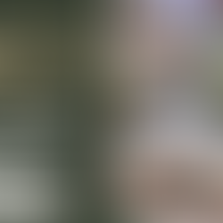 Holiday Train Display Returns to SCLS