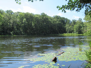 Morris County Open Space Project at Wildcat Ridge Officially Closes