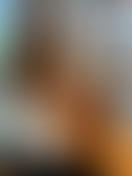 Toys for Tots donation Collection