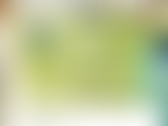 Town-Wide Clean up Day