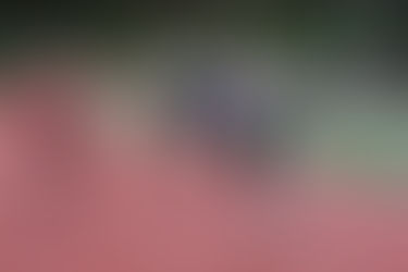 Weekend Roundup: Bear Creek's Baker Runs Away with 100, 400m Titles at Holder Relays