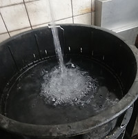 うなぎ②.jpg