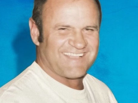 Darrel E. Wark