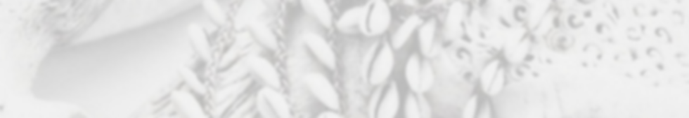white_banner_fade_edited_edited_edited_edited_edited.png