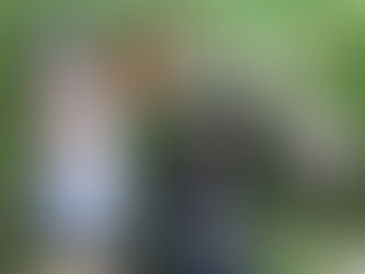 ワークショップのお知らせ
