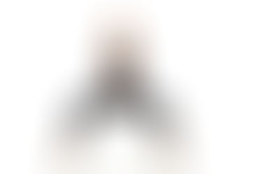 Como manter a estabilidade em um mundo movido pela dopamina?