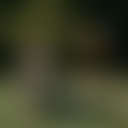 20 de anos de Yoga e contando…