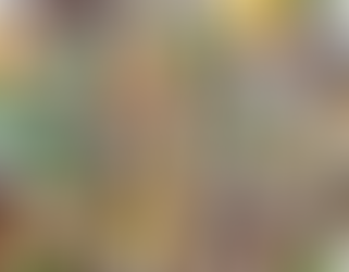 Transform Your Skincare Routine with Pure Essential Oils