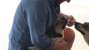 Mehr Tierschutz – nicht weniger!