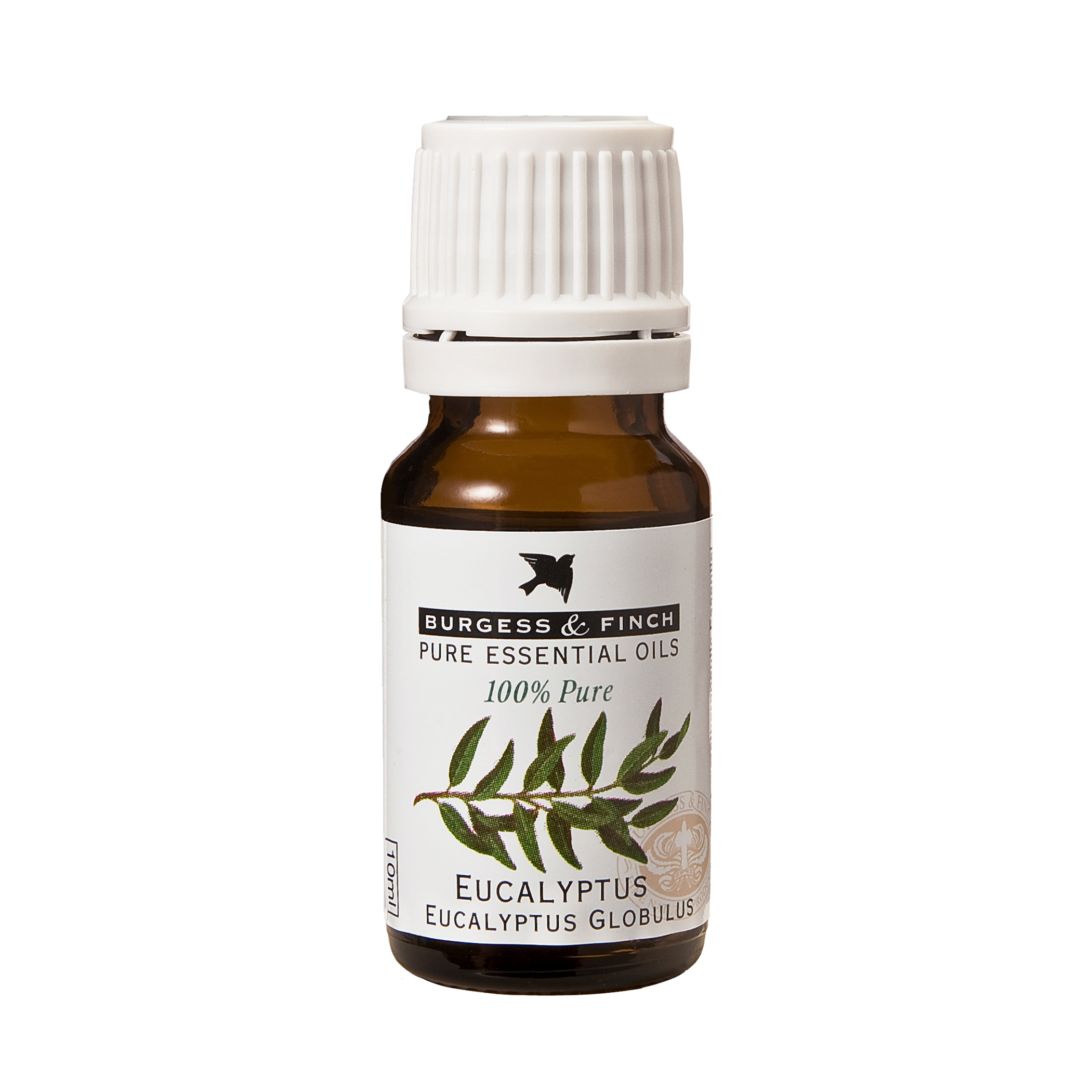 Eucalyptus Oil