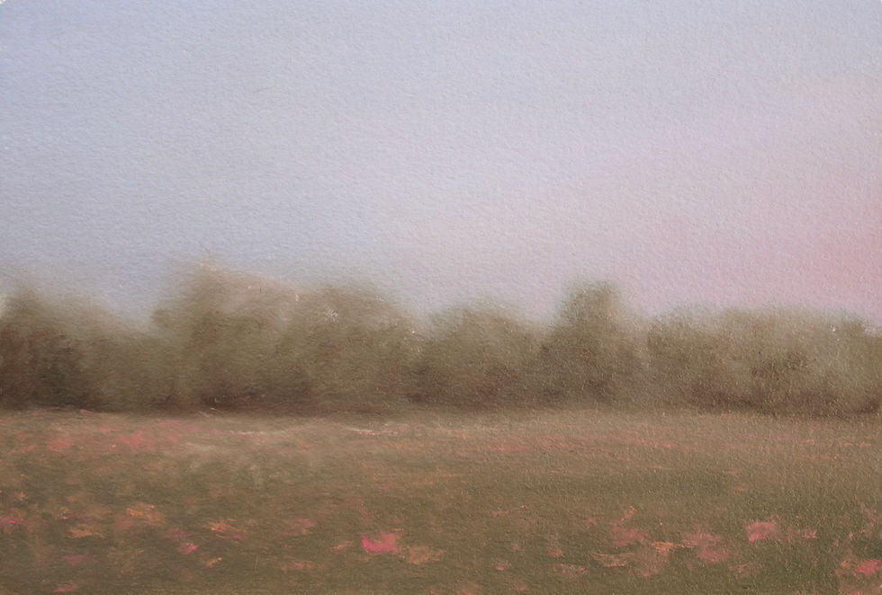 Soft Blooms