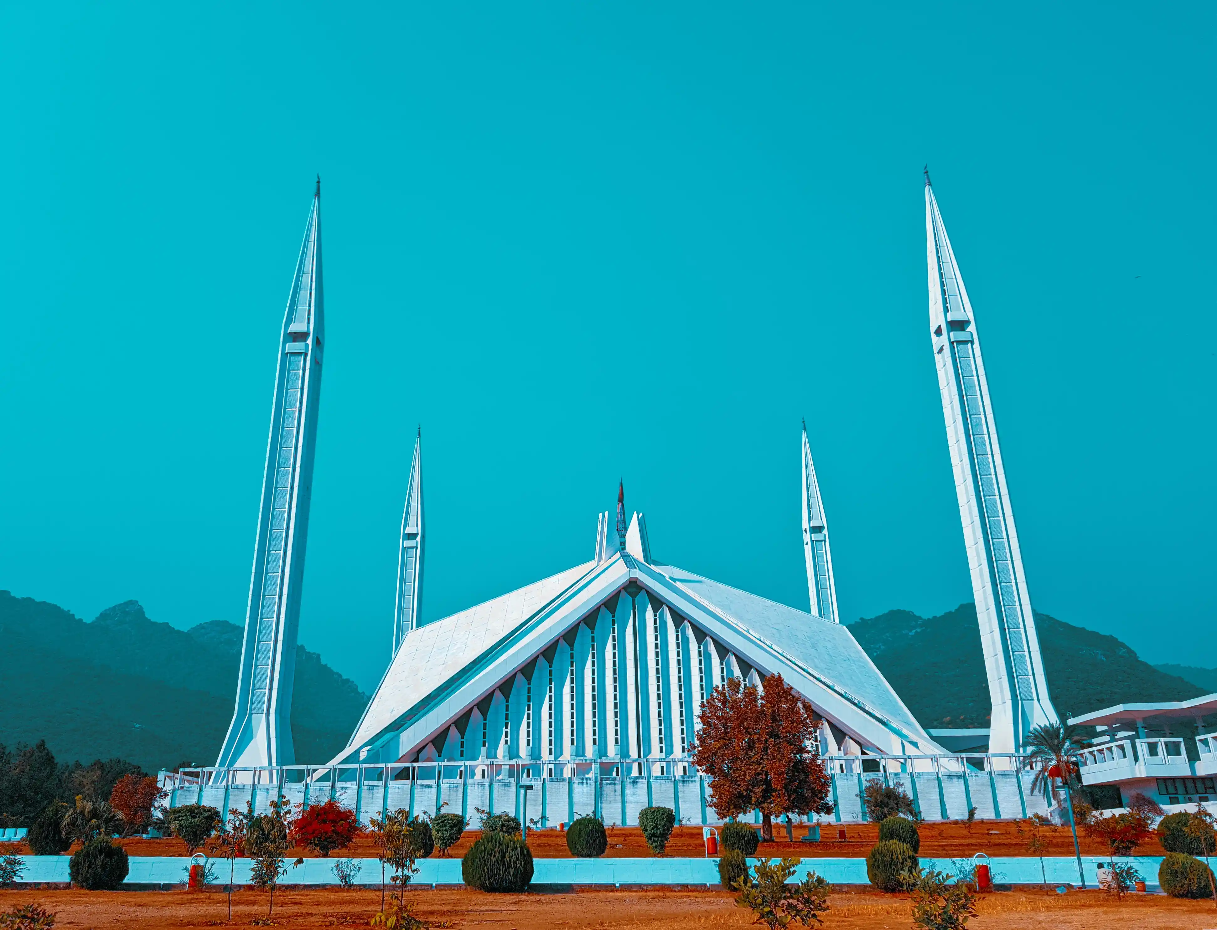 VCs and Angel investors in Pakistan