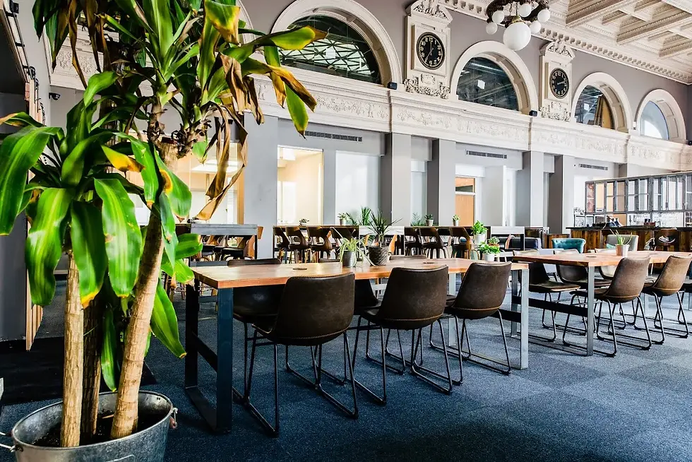 TechArtista Coworking Space