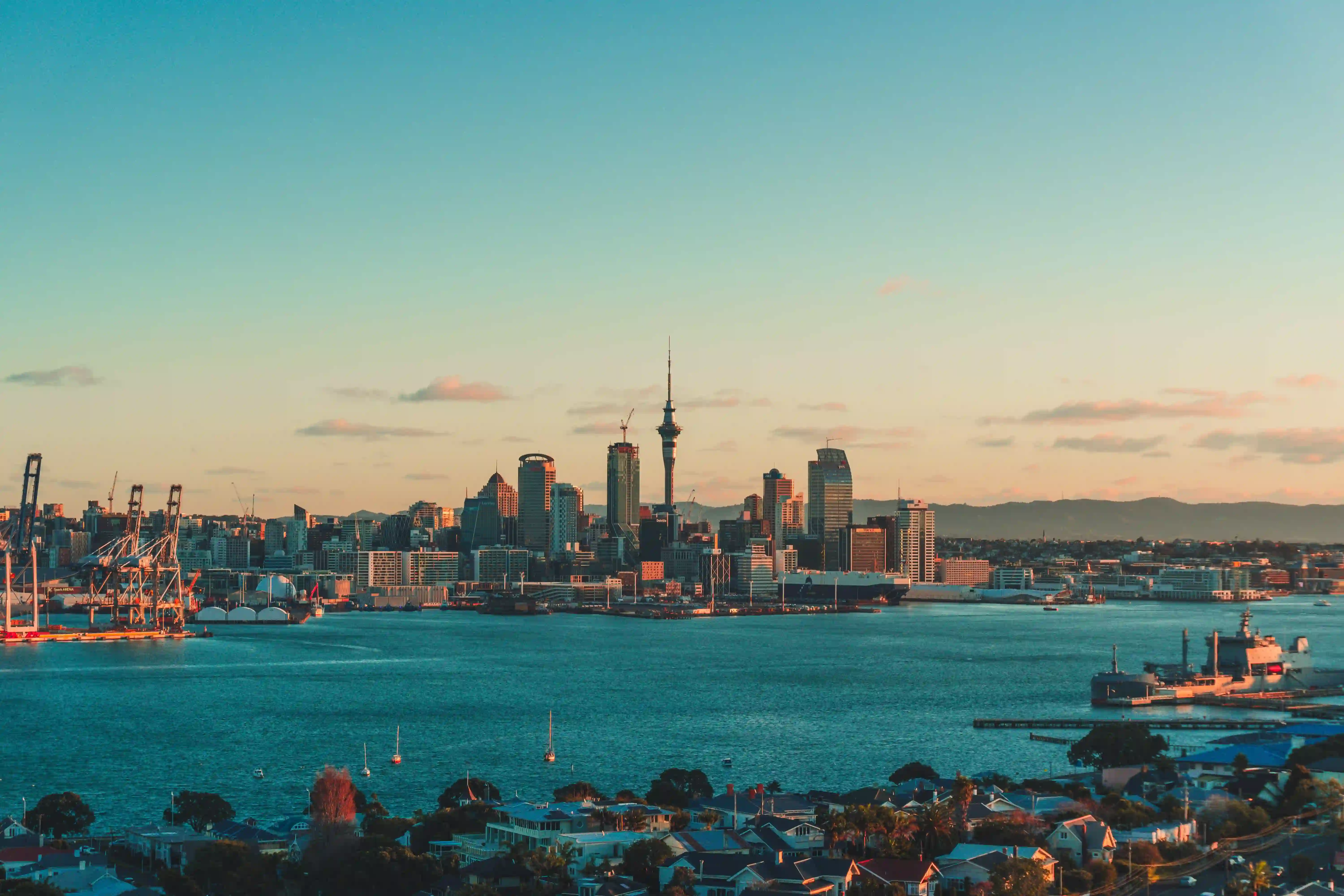 VCs and Angel investors in New Zealand