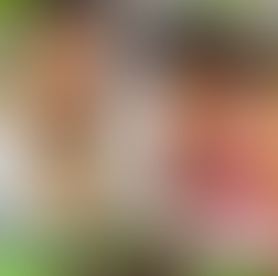 4 - 7 yrs: Mastering Blending While Reading