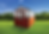 12x24 Greenhouse