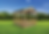 10x10 Gazebo