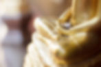 Prosperity and Wellness Retreat