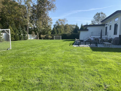 lawn care-16.jpeg