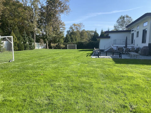 lawn care-16.jpeg