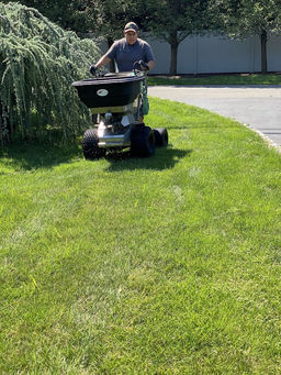 lawn care-12.jpeg